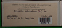 Image Associated With the Occurence